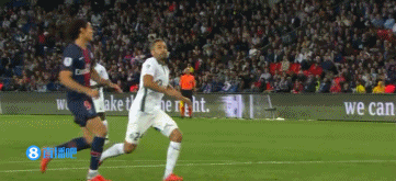 博彩运营商参与红树林保护